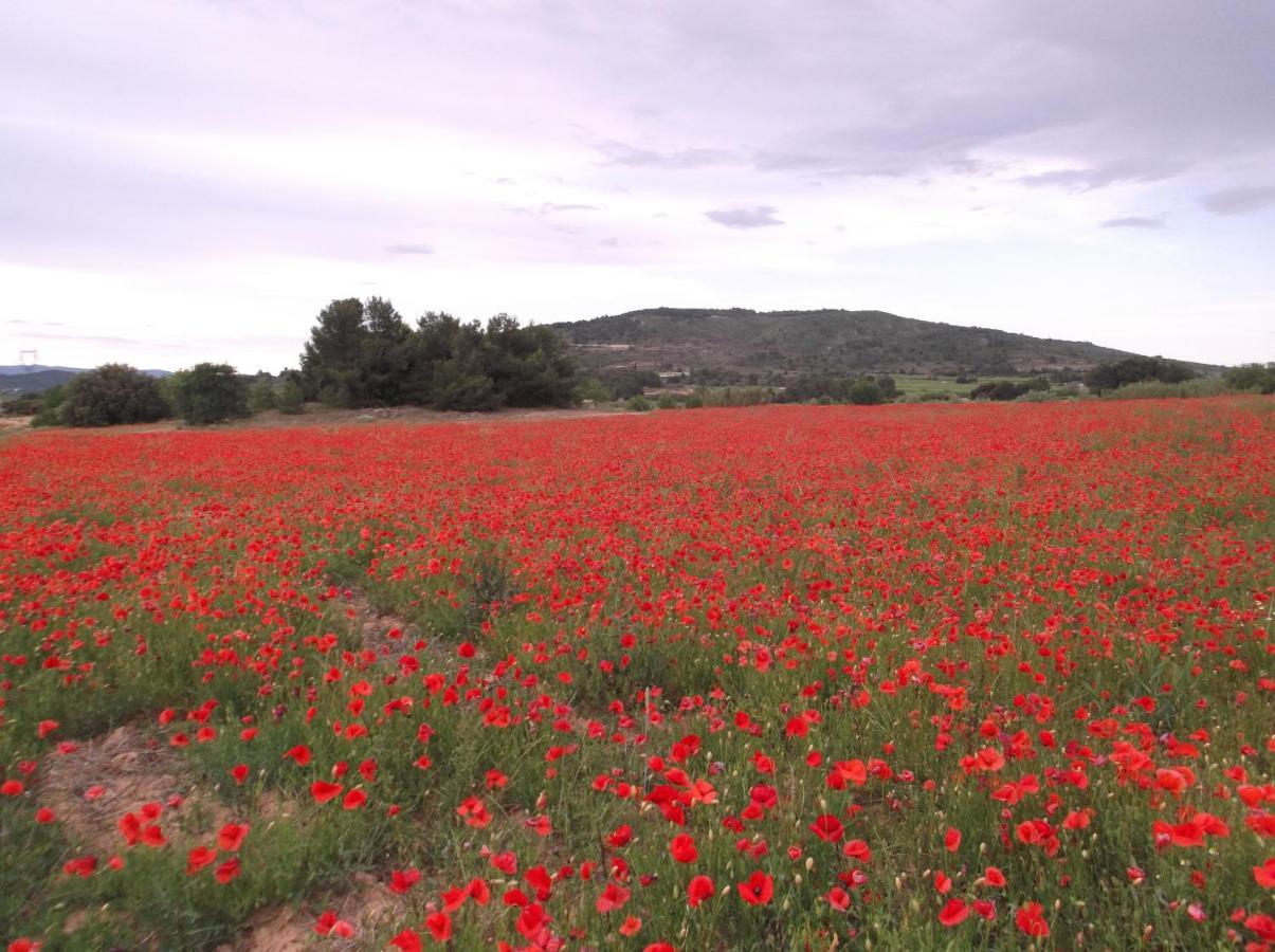 L'Itinerante Otel Le Somail Dış mekan fotoğraf